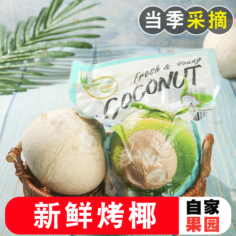 浅底上的泰国进口烤椰