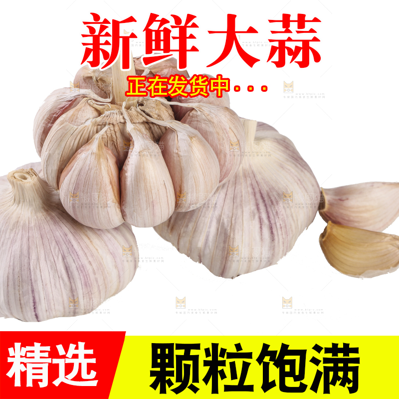 白底上的干蒜