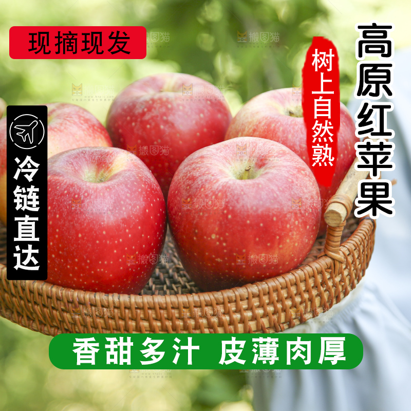 手里拿着高原红苹果
