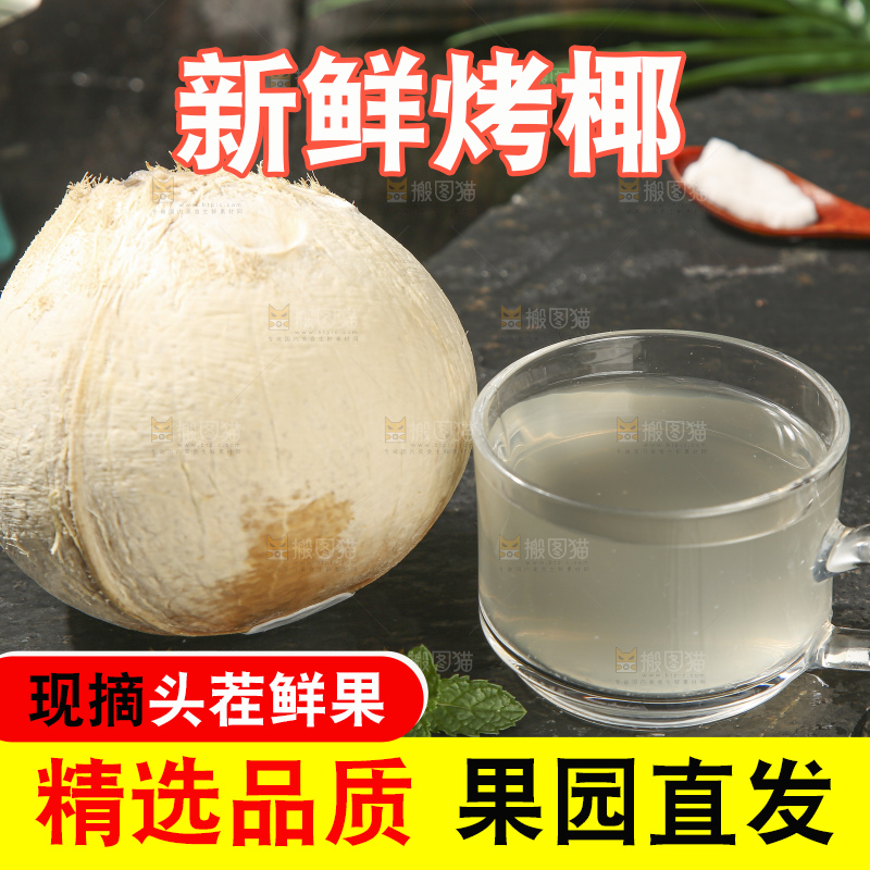 深底上的泰国进口烤椰