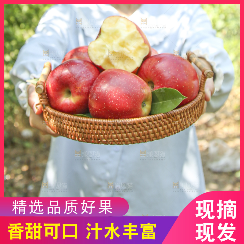 手里拿着高原红苹果