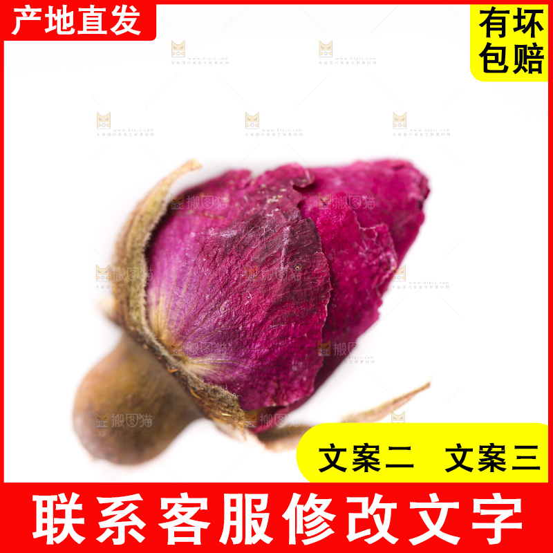 白底上的玫瑰花干
