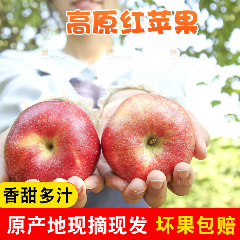 手里拿着高原红苹果