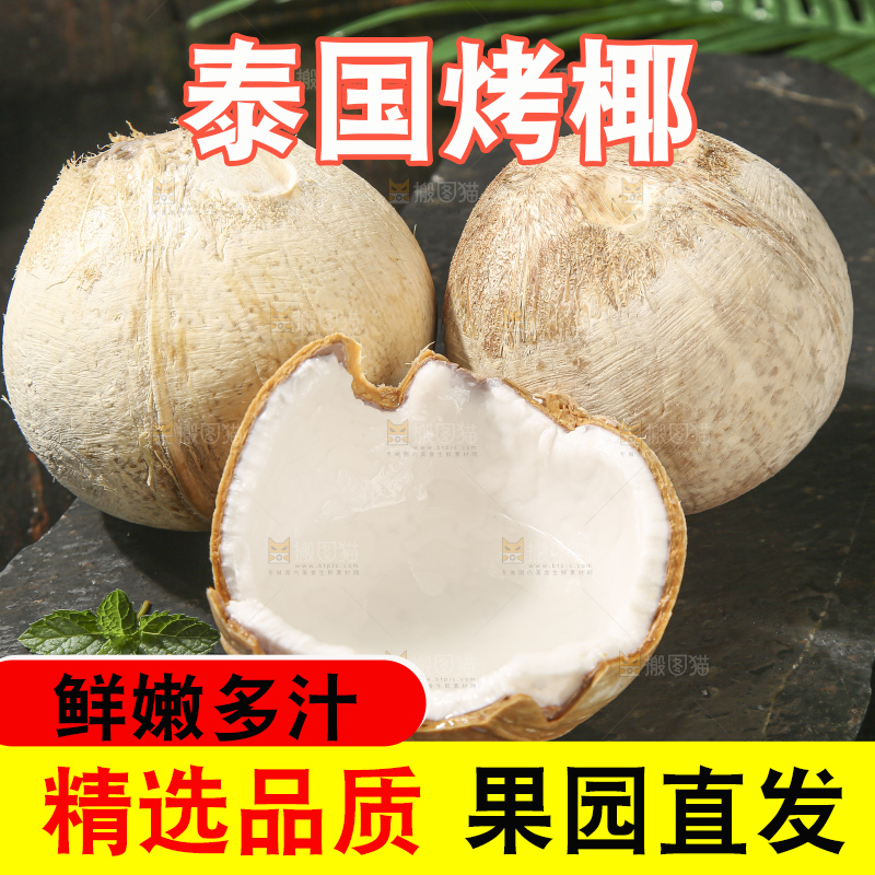 深底上的泰国进口烤椰