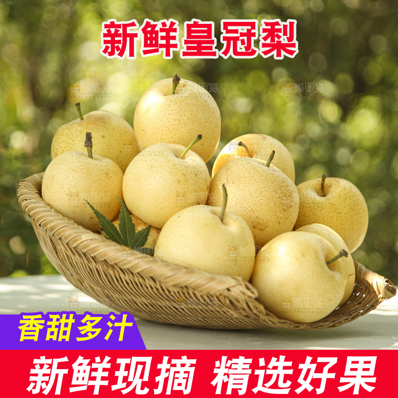 手里拿着新鲜皇冠梨