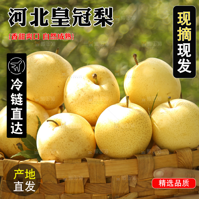 手里拿着新鲜皇冠梨