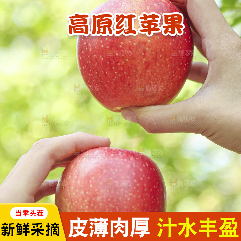 手里拿着高原红苹果