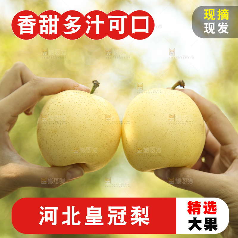 手里拿着新鲜皇冠梨
