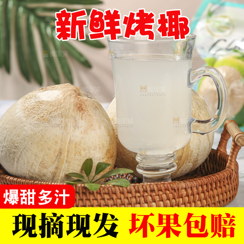 浅底上的泰国进口烤椰