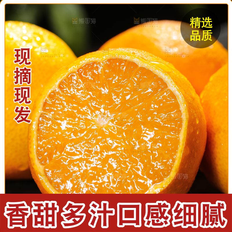 爱媛果冻橙主图