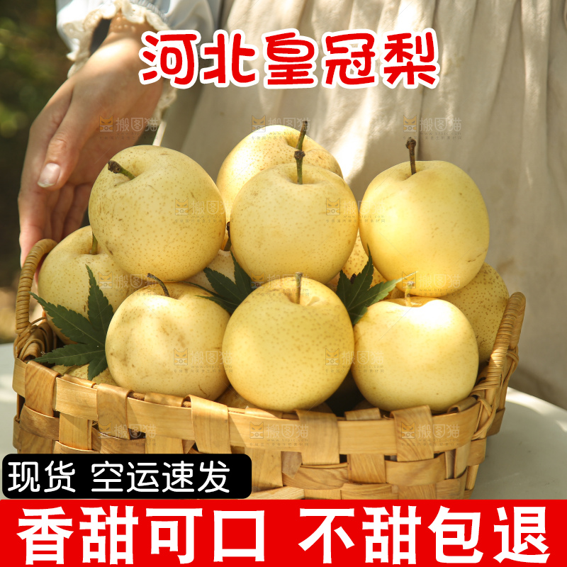 手里拿着新鲜皇冠梨