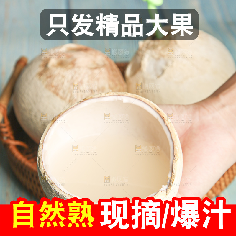 浅底上的泰国进口烤椰