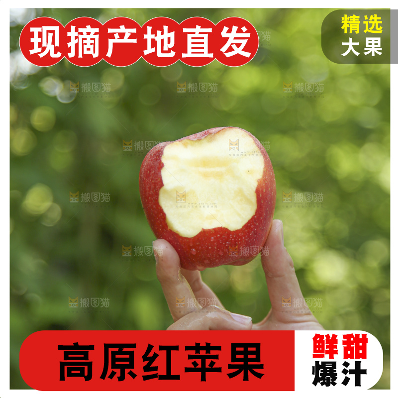 手里拿着高原红苹果