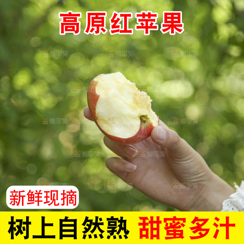 手里拿着高原红苹果