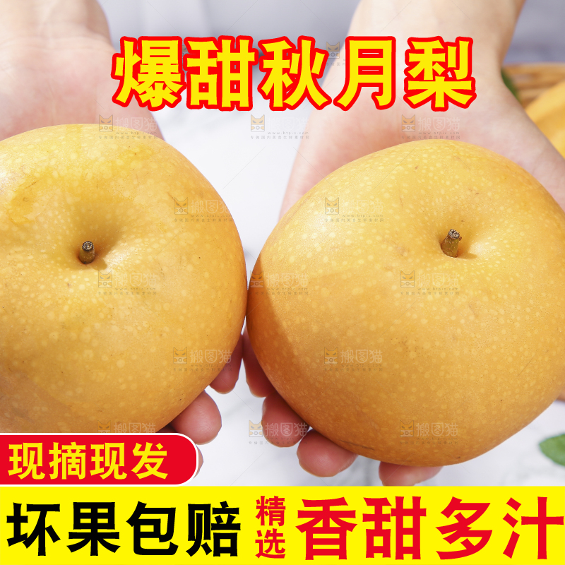 浅底上放着秋月梨