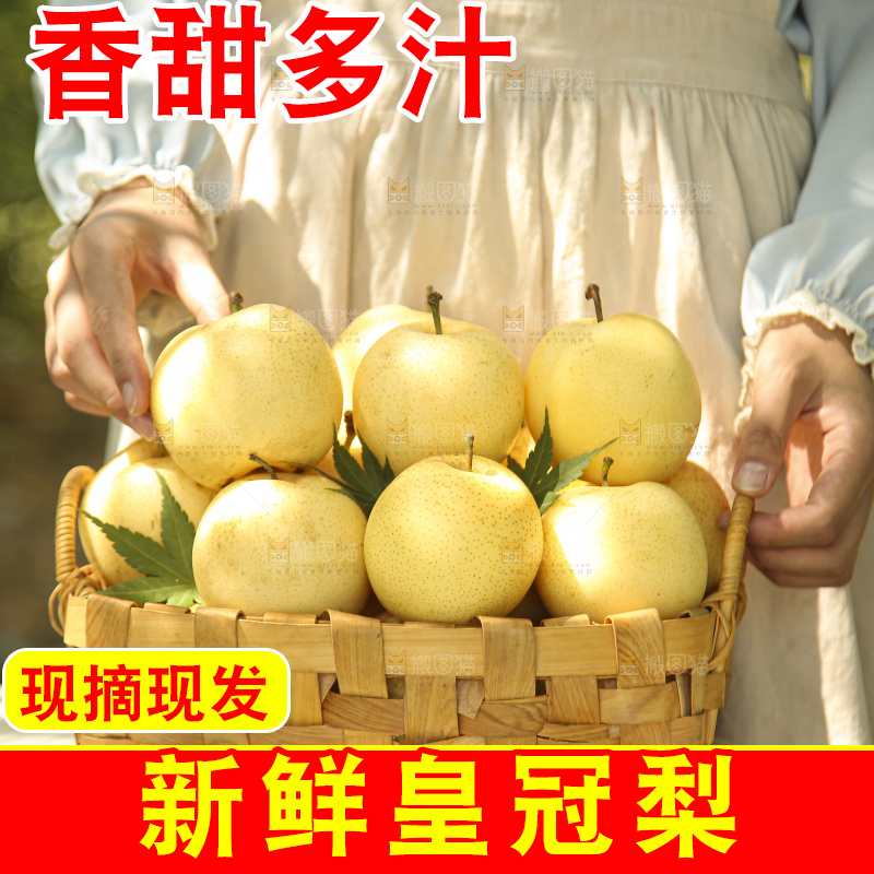 手里拿着新鲜皇冠梨