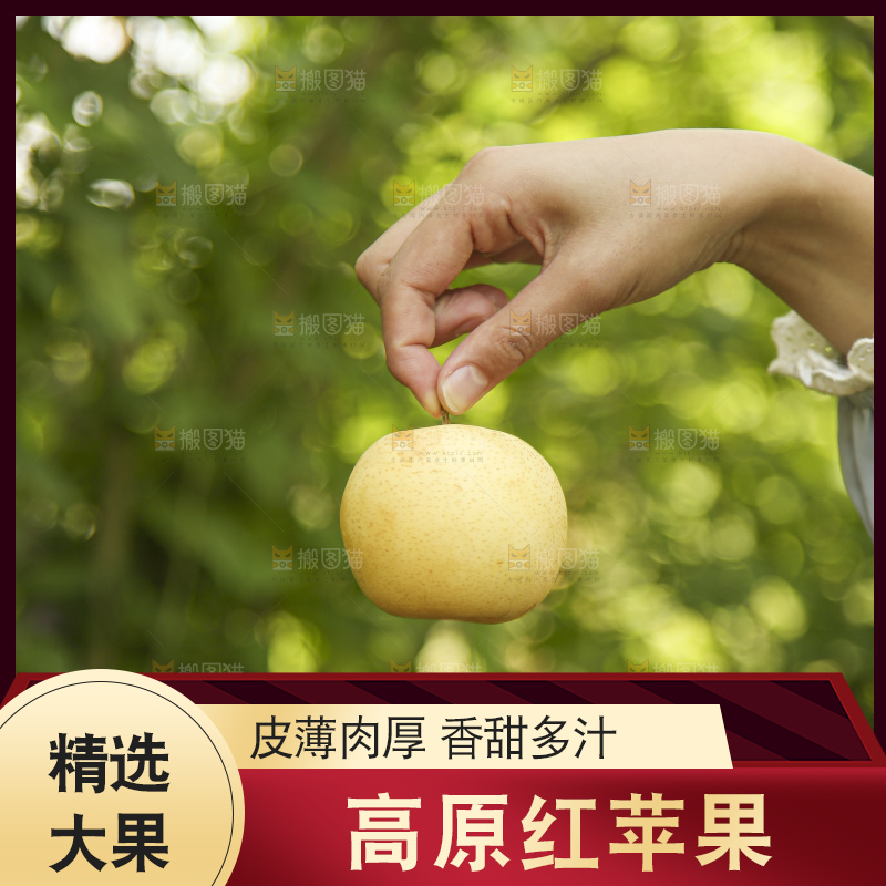 手里拿着高原红苹果