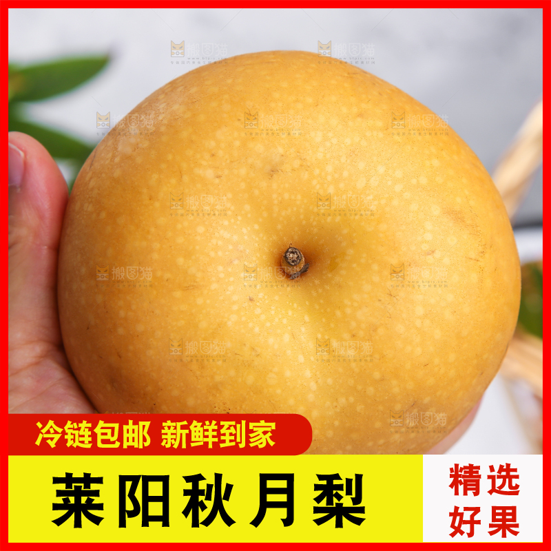 浅底上放着秋月梨
