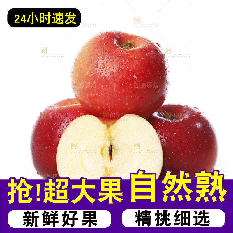 白底上的火箭小苹果