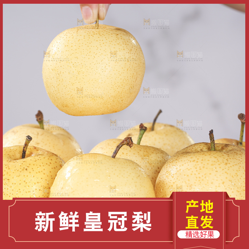 浅底上的皇冠梨