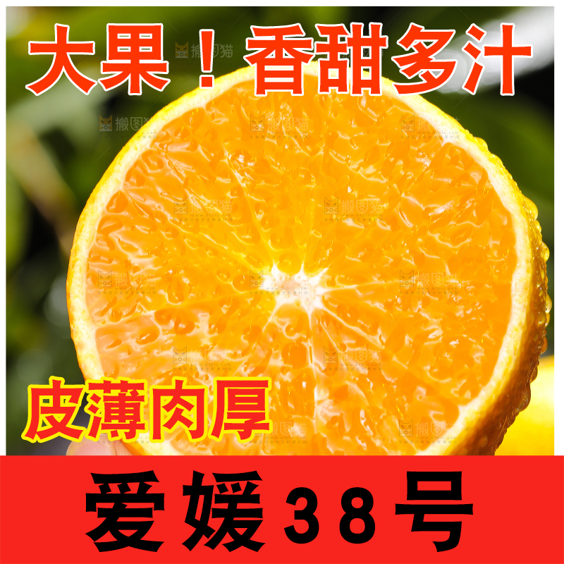 爱媛果冻橙主图