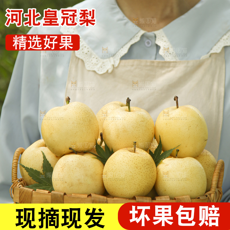手里拿着新鲜皇冠梨