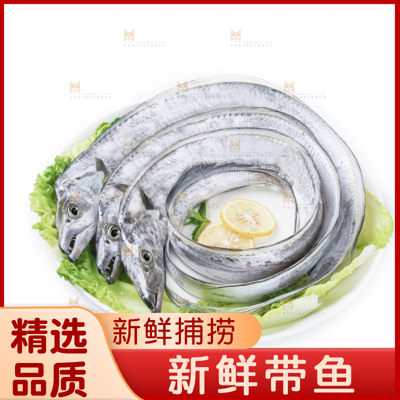 白底上的带鱼