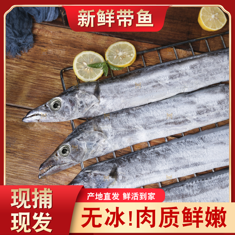 深底新鲜带鱼