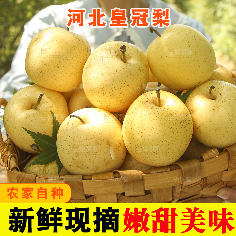 手里拿着新鲜皇冠梨