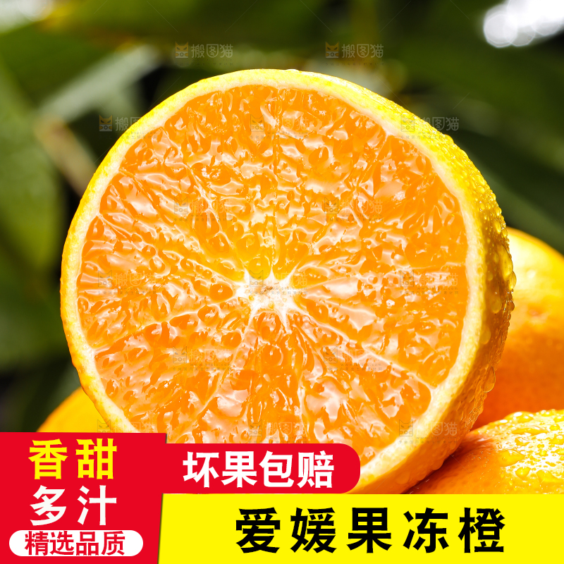 爱媛果冻橙主图