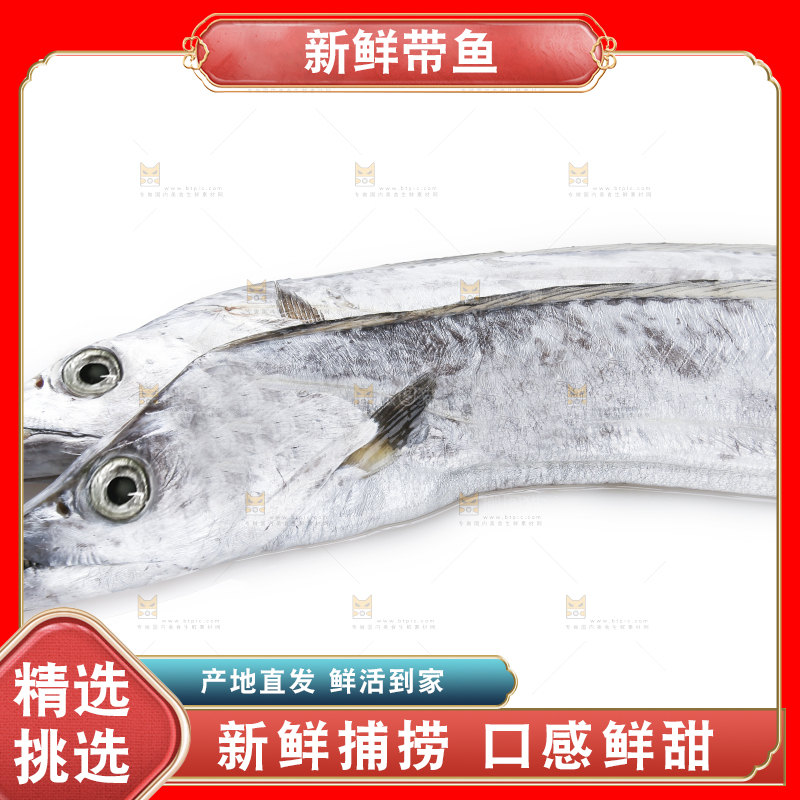 白底上的带鱼
