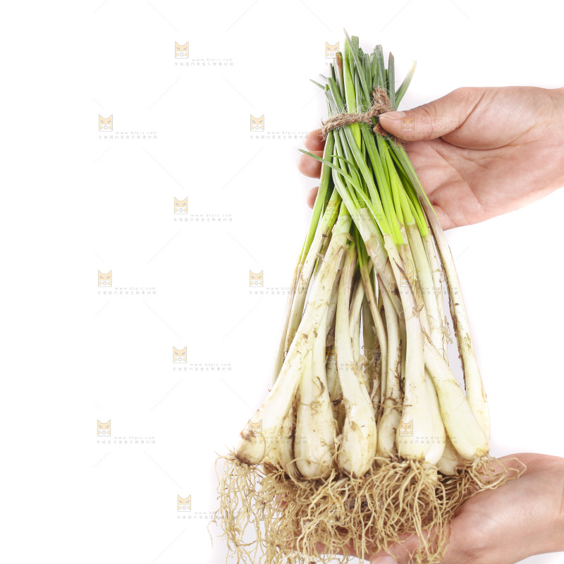 白底上放着小葱