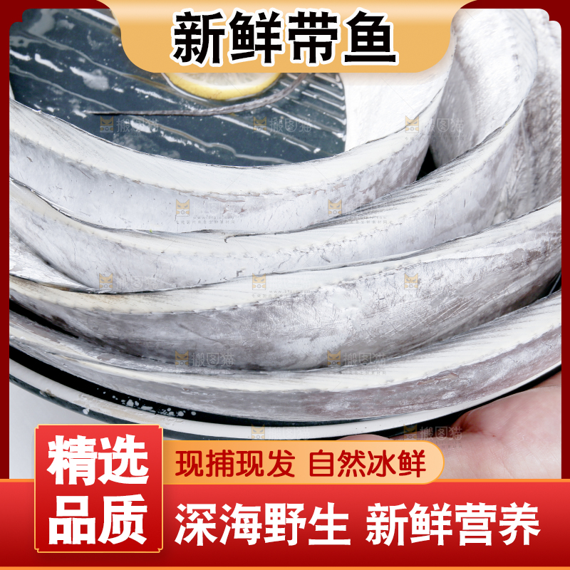 白底上的带鱼