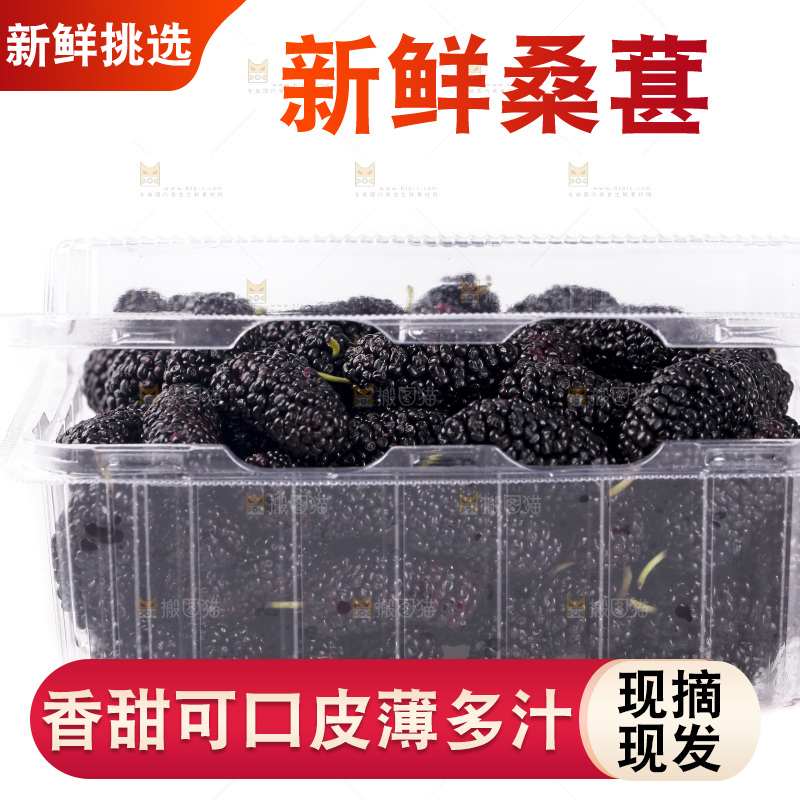 白底上的桑葚