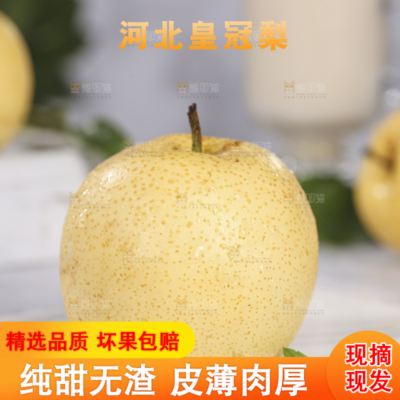 浅底上的皇冠梨