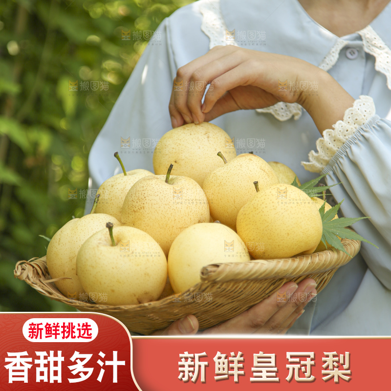 手里拿着新鲜皇冠梨
