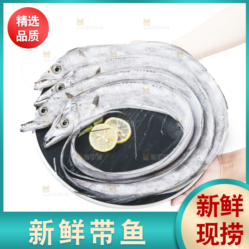 白底上的带鱼