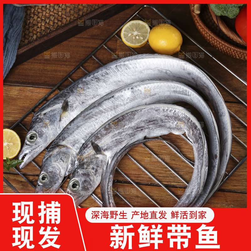 深底新鲜带鱼