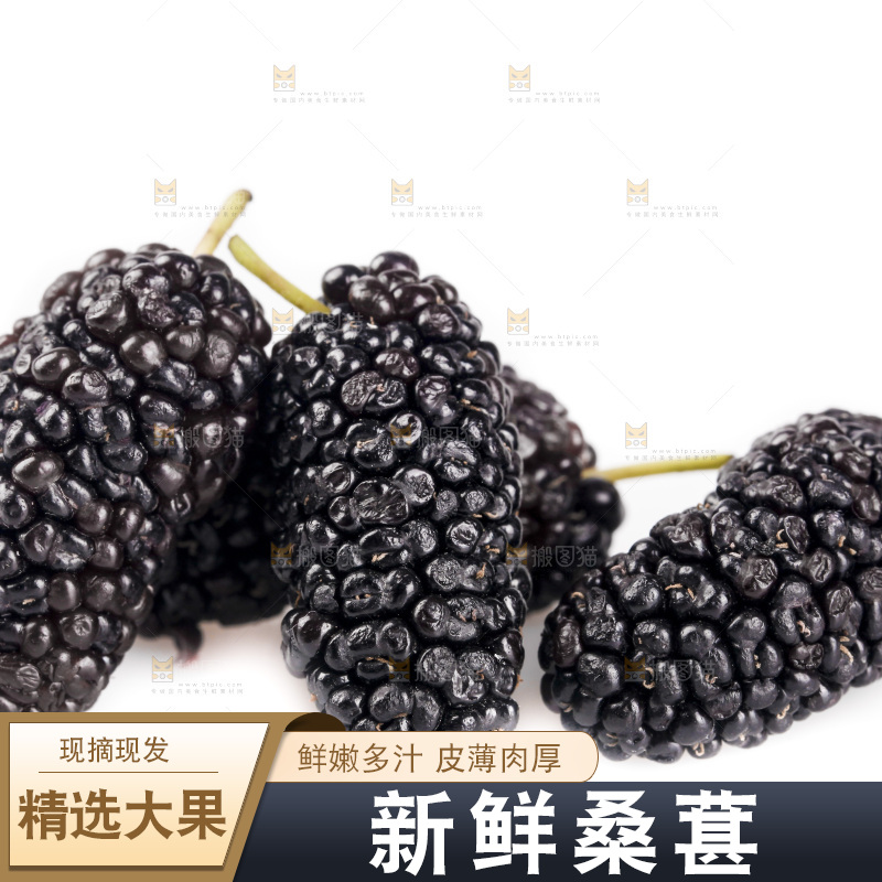 白底上的桑葚