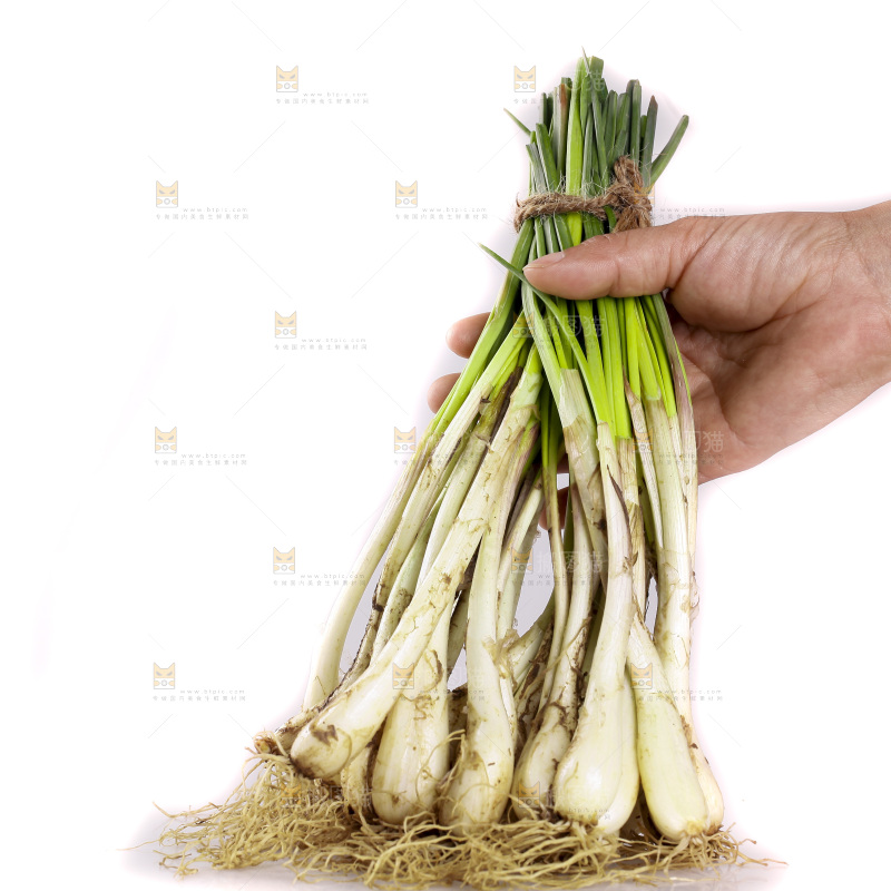 白底上放着小葱