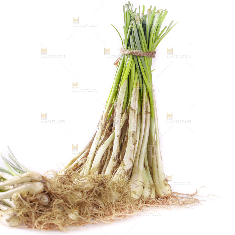 白底上放着小葱