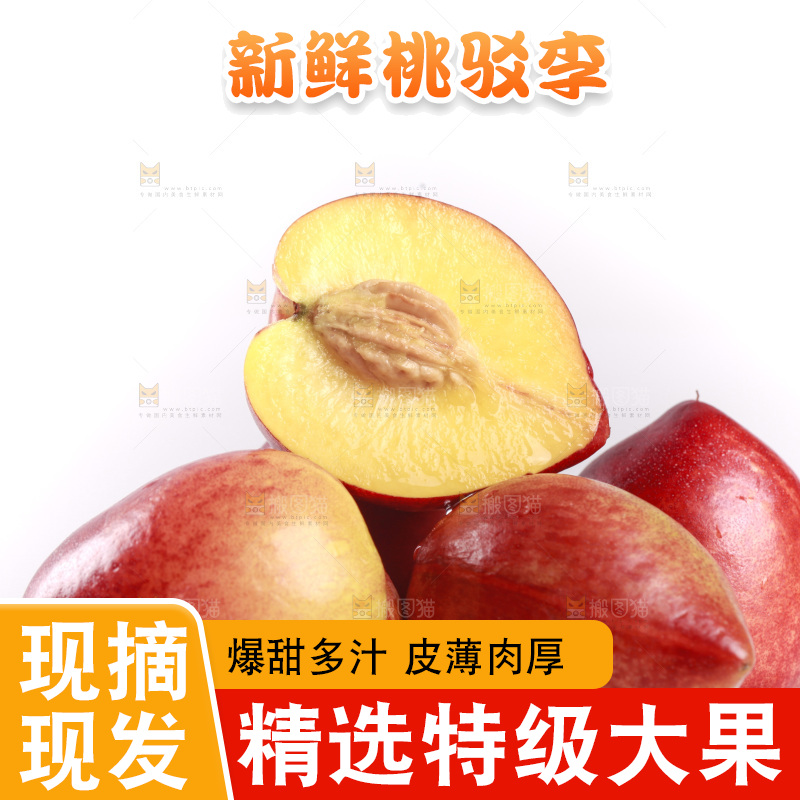 白底上的桃驳李