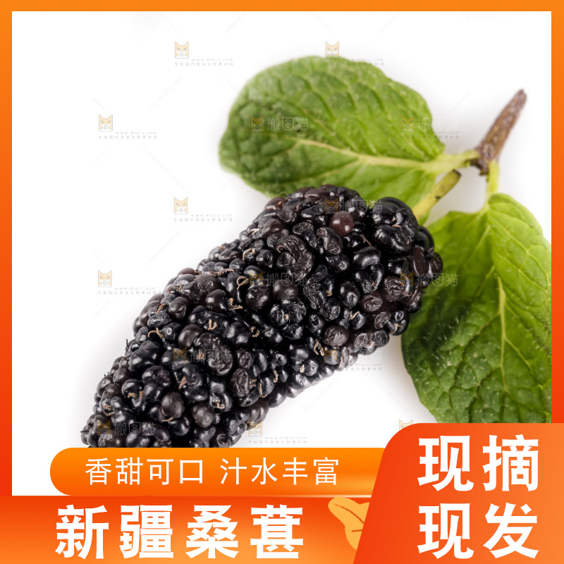白底上的桑葚