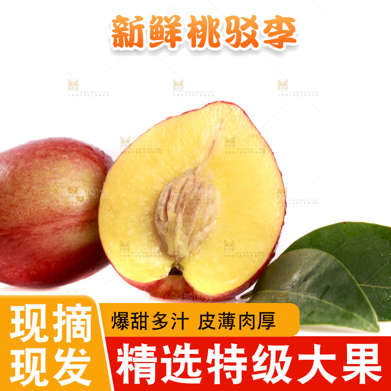 白底上的桃驳李