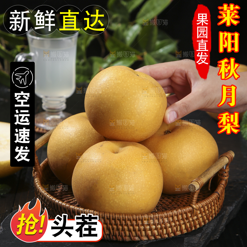 秋月梨主图