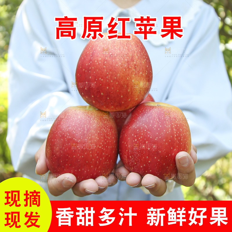 手里拿着高原红苹果