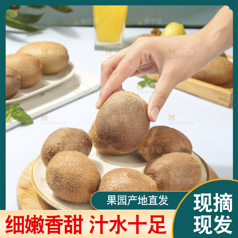 浅底上的瑞玉猕猴桃