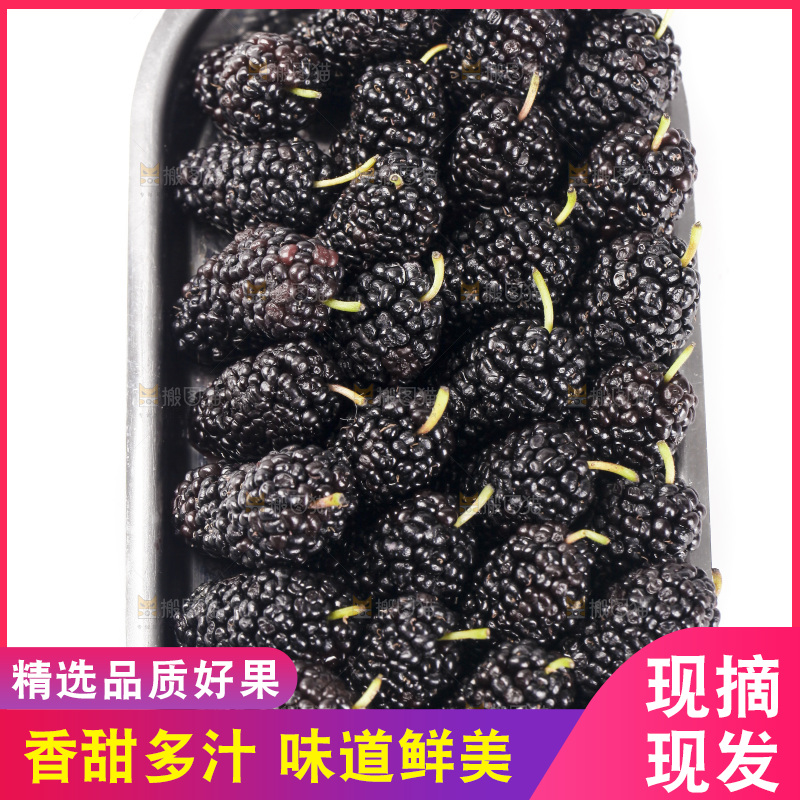 白底上的桑葚