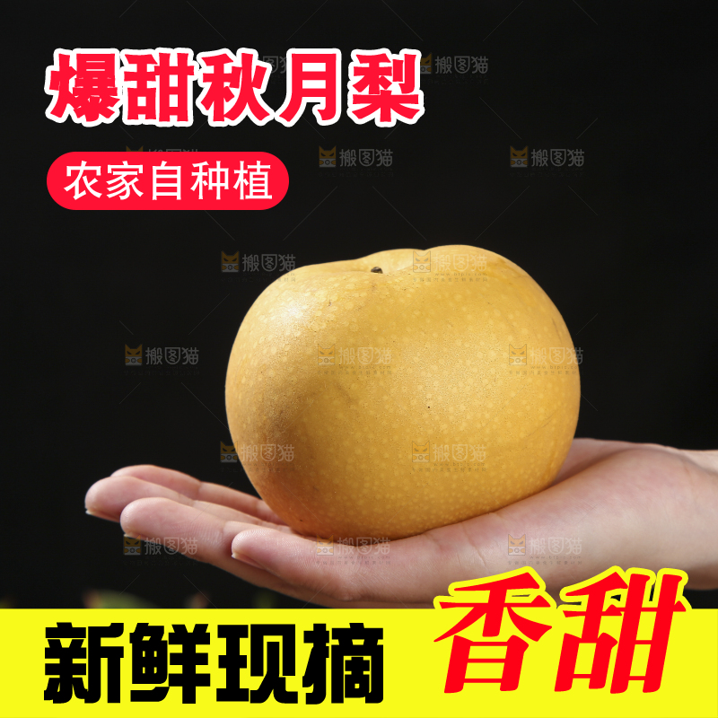秋月梨主图