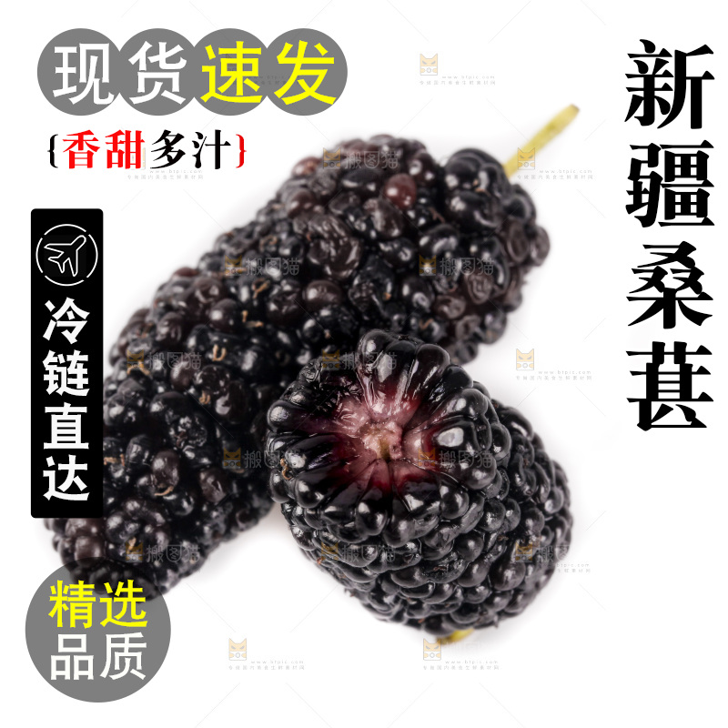 白底上的桑葚